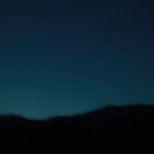 Meet your Posher, Gavin